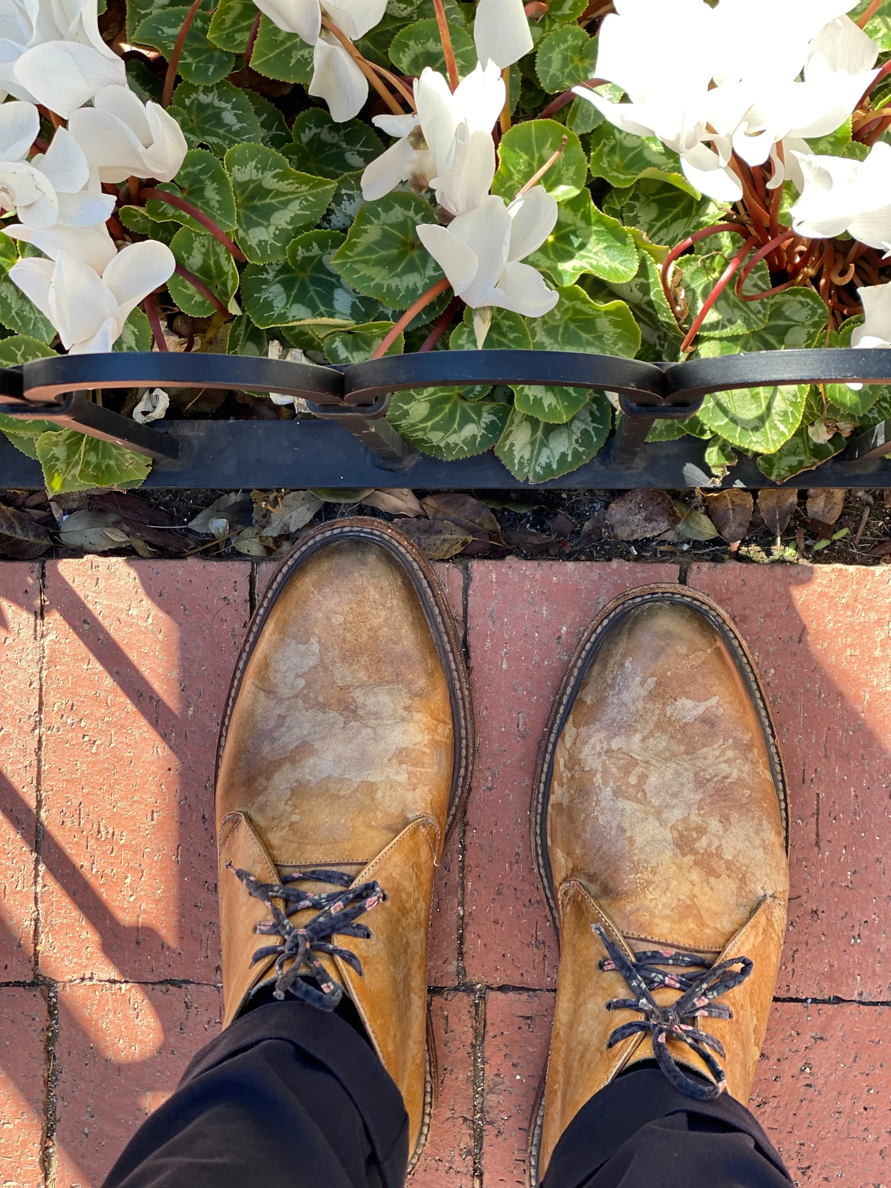 Chuck - Chucka Boot Lace-Up
