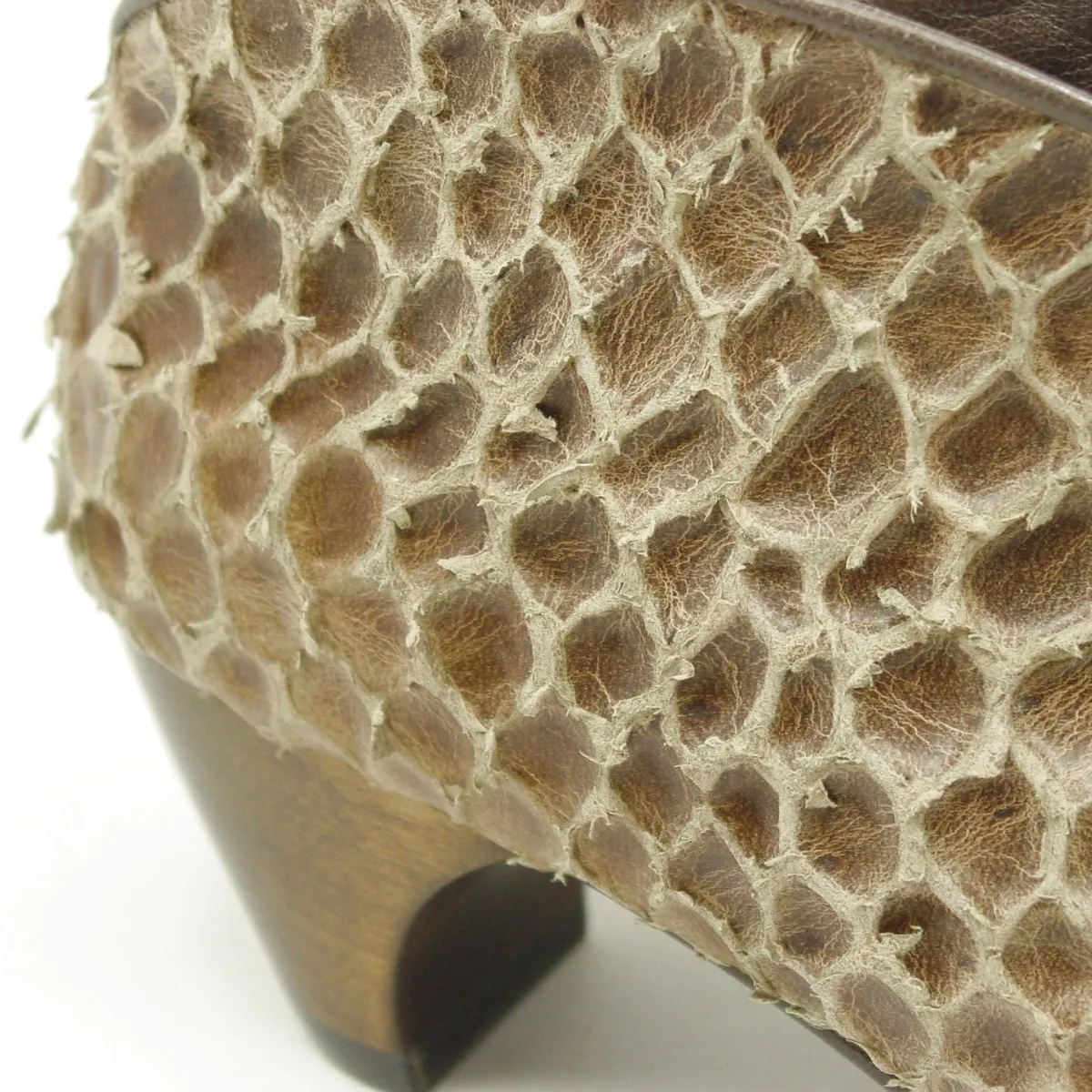 Geneva Olive Croc