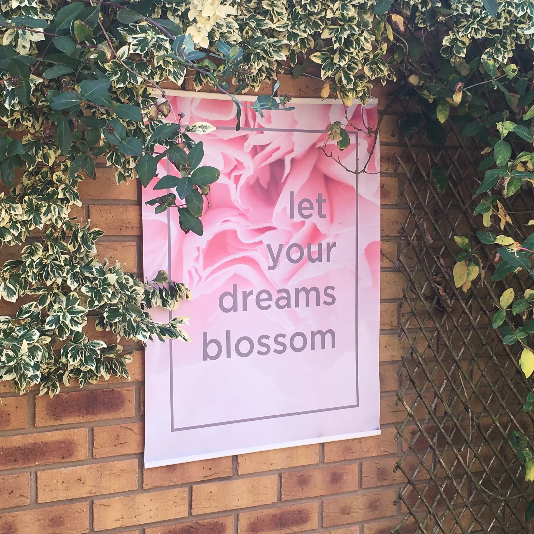 Let Your Dreams Blossom Floral Outdoor Garden Poster