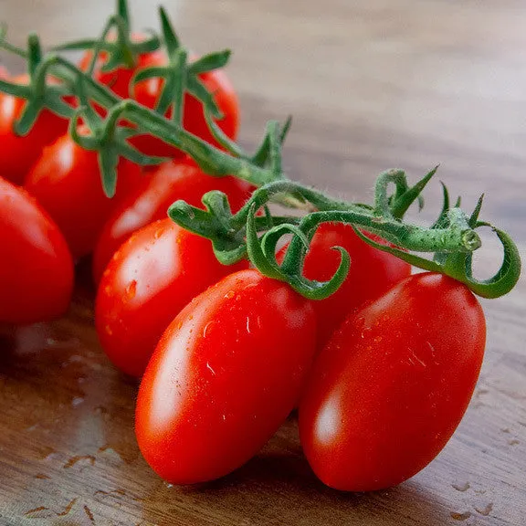 Mini Tomato Plant -m200 seeds