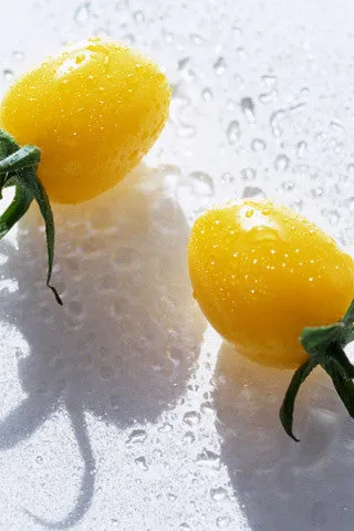 Mini Tomato Plant -m200 seeds