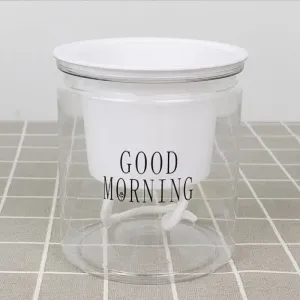 Self-watering  Hydroponic Flower Pot