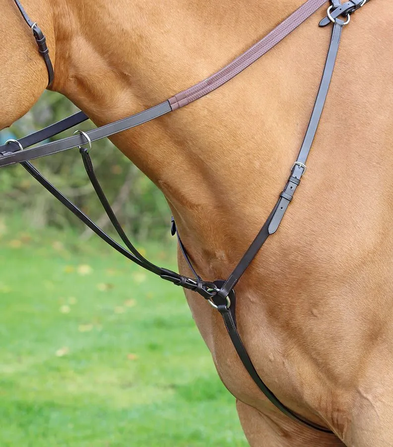 Shires Aviemore Hunt Weight Breastplate