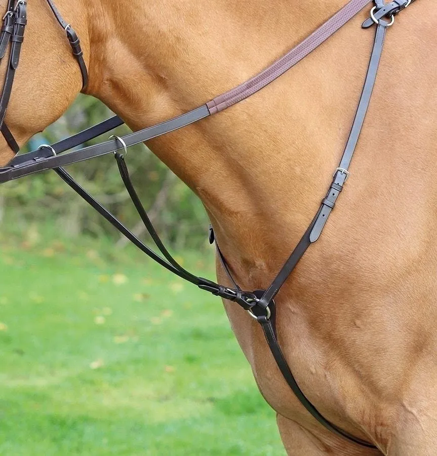 Shires Aviemore Hunt Weight Breastplate
